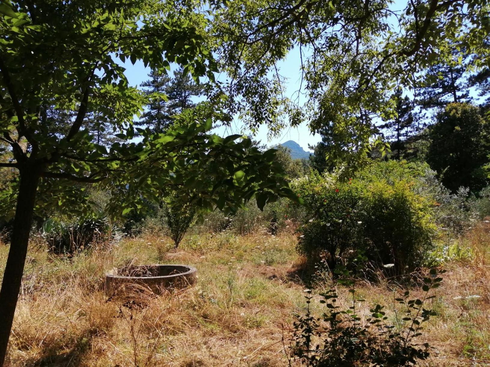 Mas Ferrieres Saint Laurent Sud Buitenkant foto